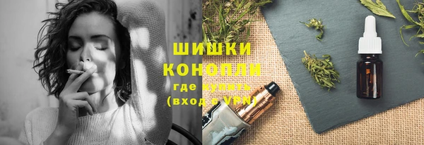 хмурый Касимов